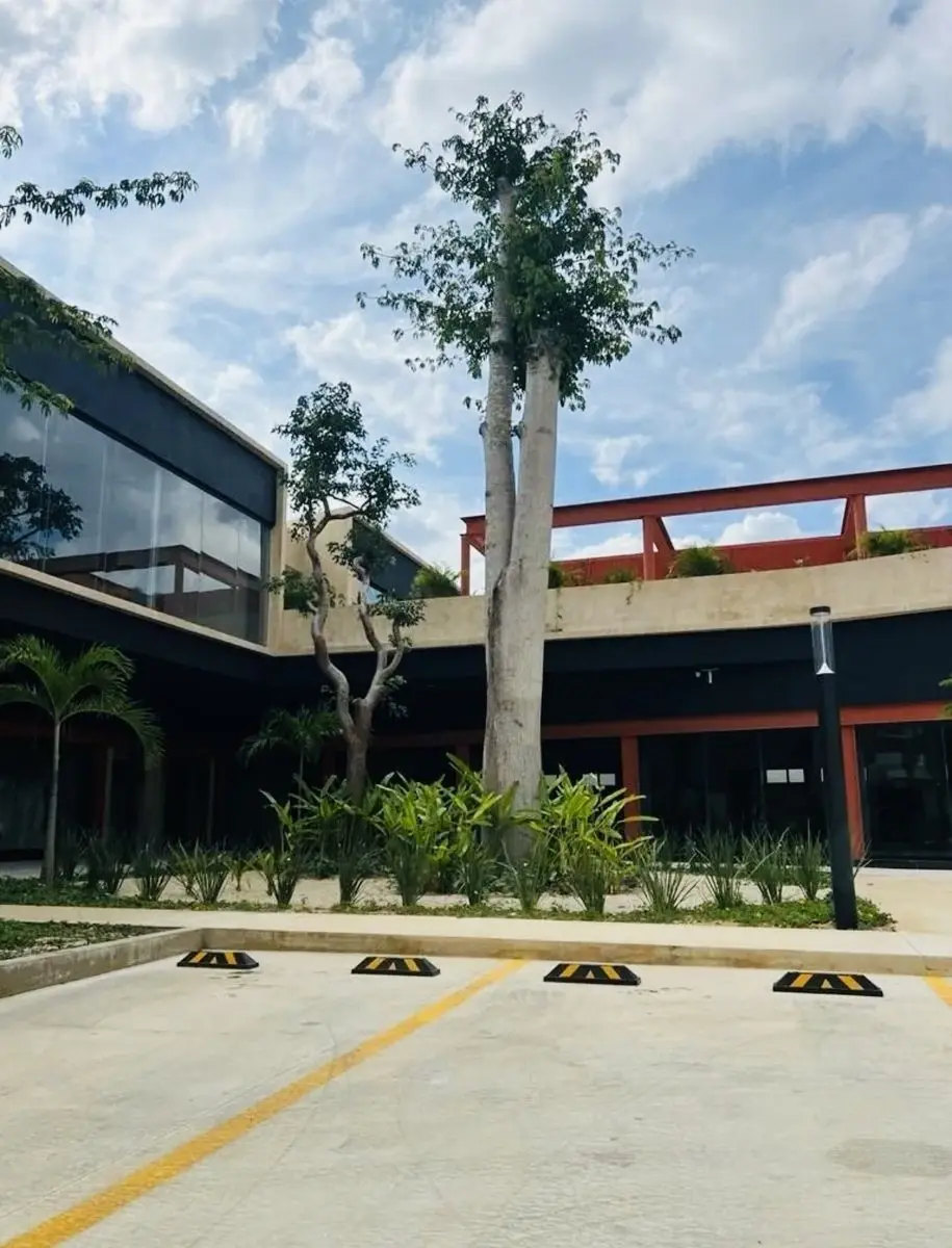 Local en planta baja — foto 5
