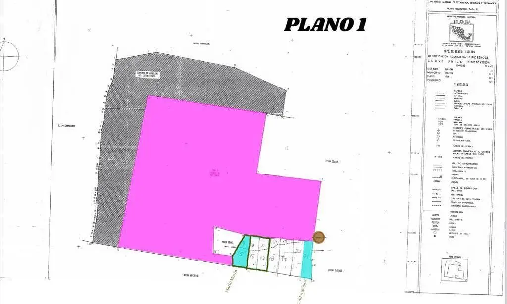 Terreno en Venta en Xtohil ,Chankom, Yucatan , cerca de Chichen Itza — foto 2