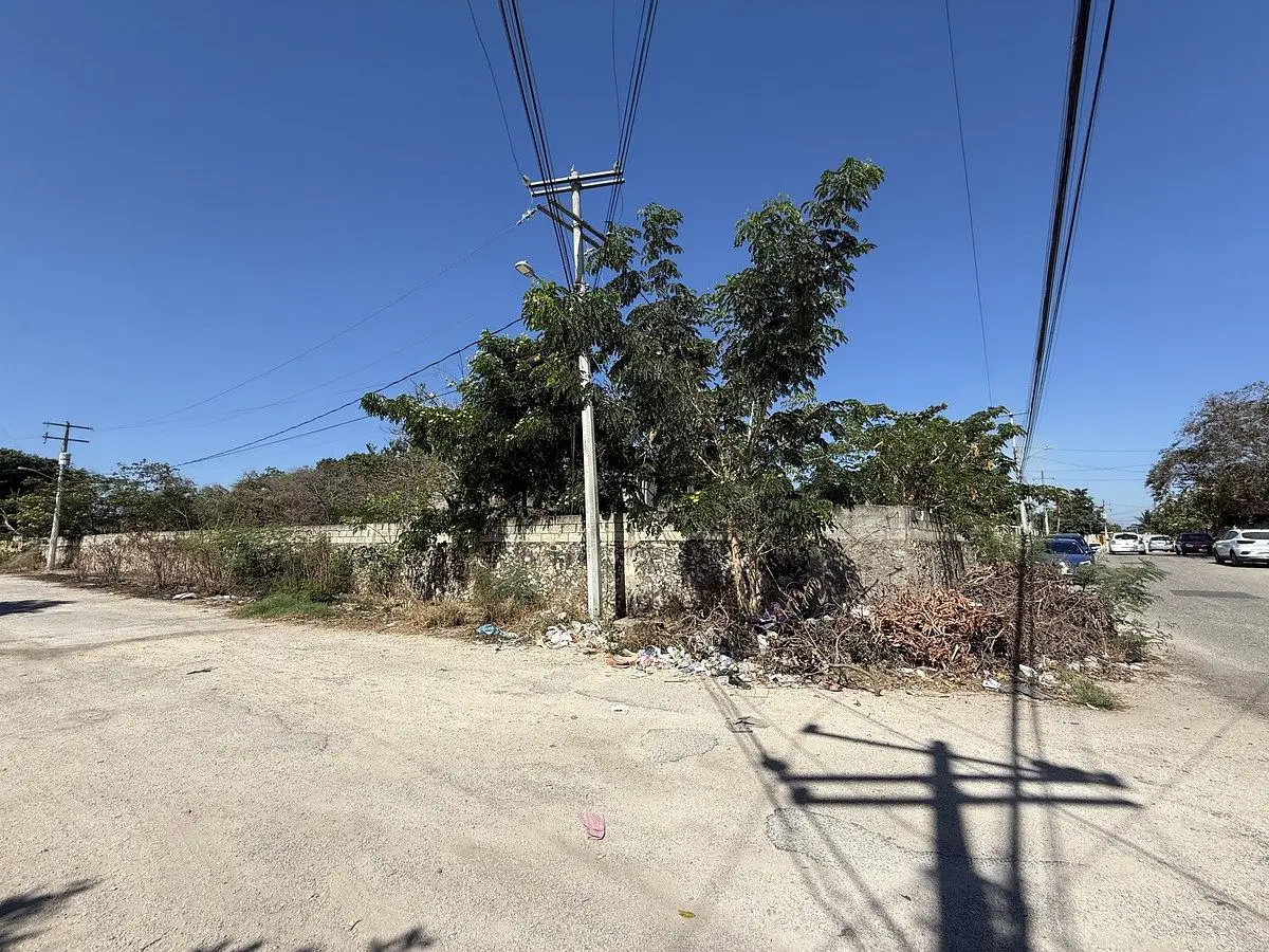 Terreno en venta en el Roble Agrícola — foto 3