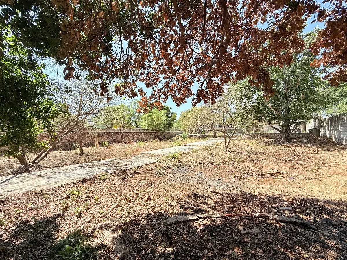 Terreno en venta en el Roble Agrícola — foto 5