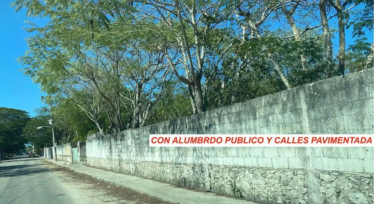 Atención Desarrolladores Venta de Terreno totalmente Bardeado — foto 4