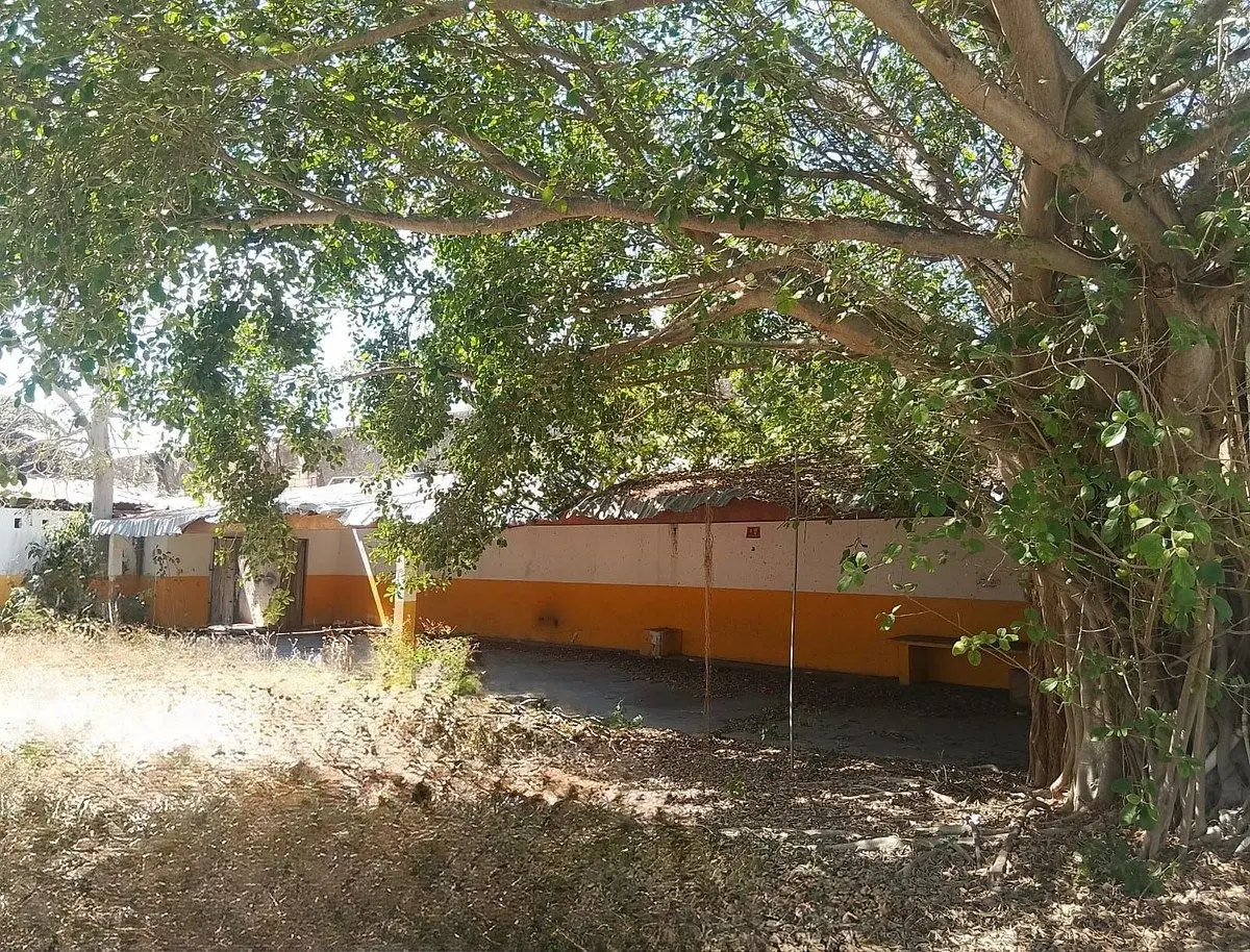 Bodega con Oficinas en Venta/Renta Mérida centro — foto 5