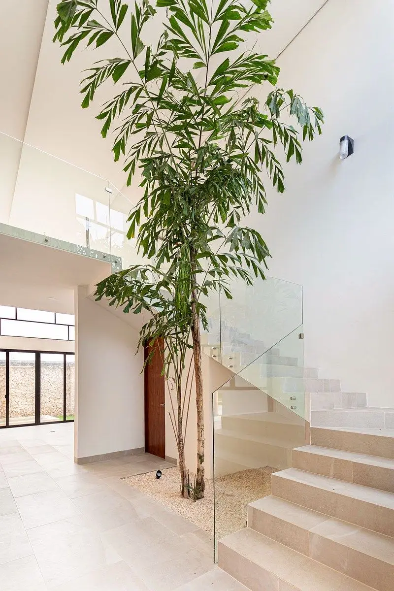 Casa de 3 recámaras en venta en Mérida Cabo Norte — foto 3