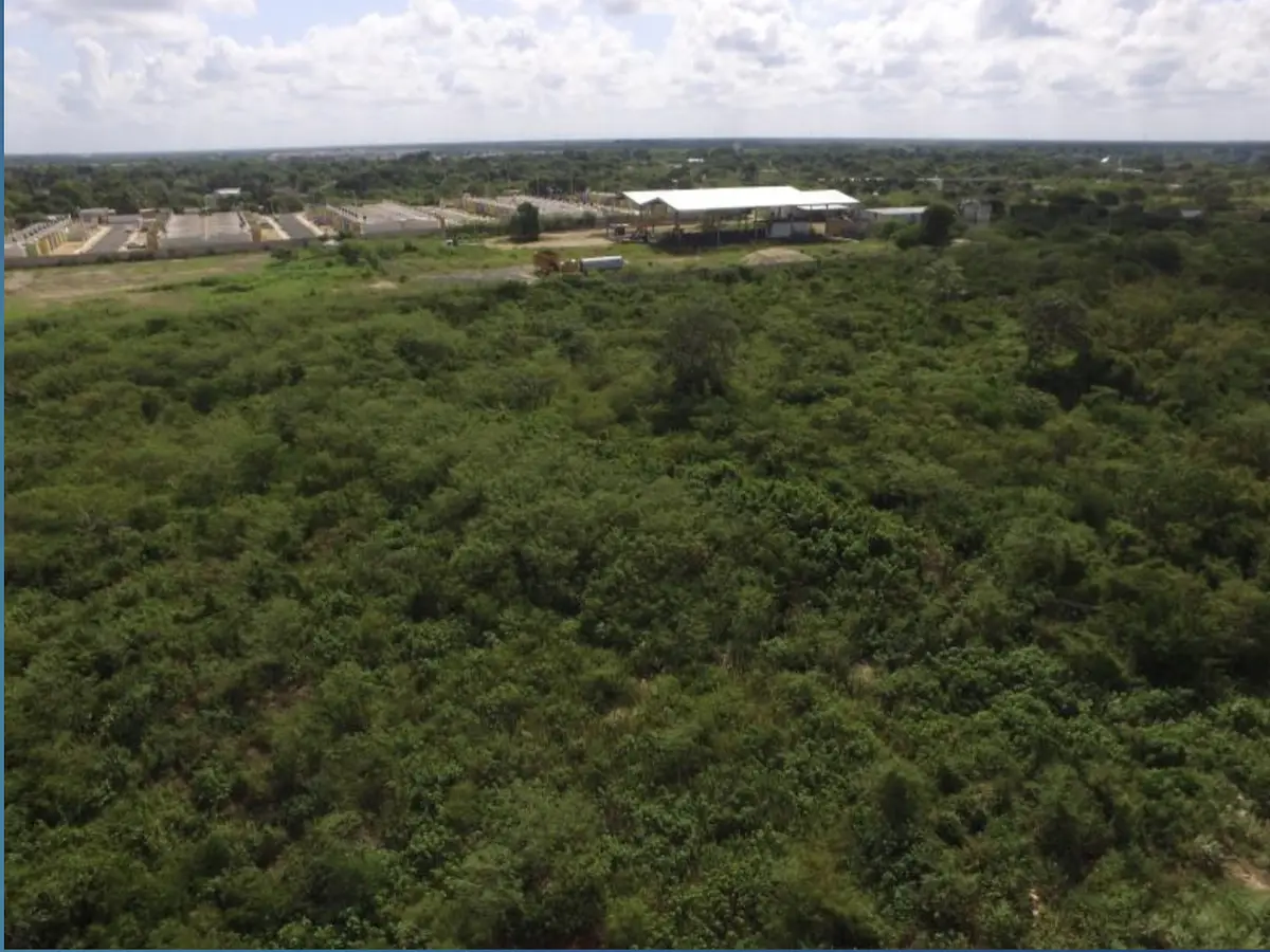 Terreno para desarrollo habitacional de vivienda — foto 3