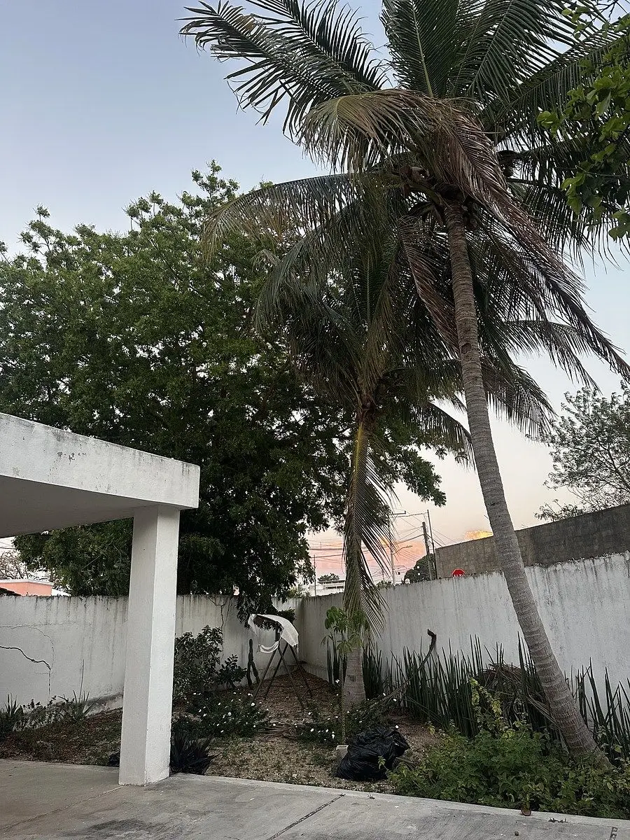 Casa en venta en esquina con amplio terreno — foto 5