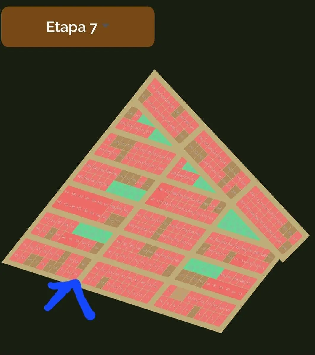 Lotes de Inversion en Venta en Dzidzantun,Yucatan — foto 2