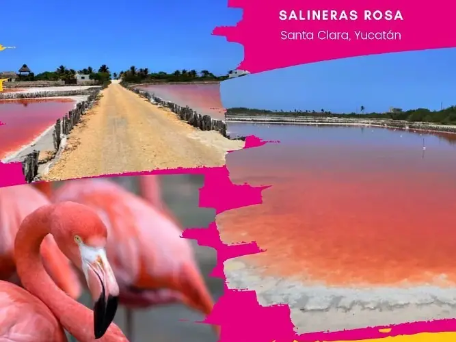 Lotes de Inversion en Venta en Dzidzantun,Yucatan — foto 4