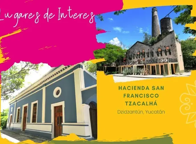 Lotes de Inversion en Venta en Dzidzantun,Yucatan — foto 6