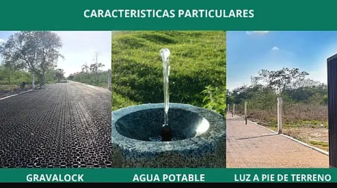 Terreno en Venta al Norte de Merida en Carretera Chicxulub,Yucatan — foto 4