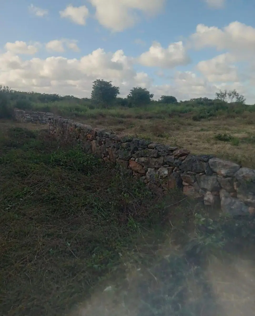 Terreno en Venta en Mococha-Yucatan — foto 2