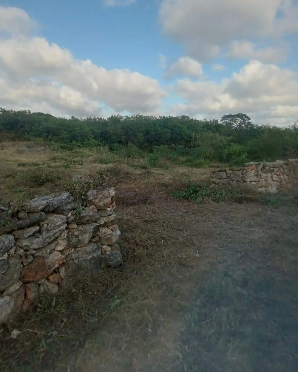 Terreno en Venta en Mococha-Yucatan — foto 3