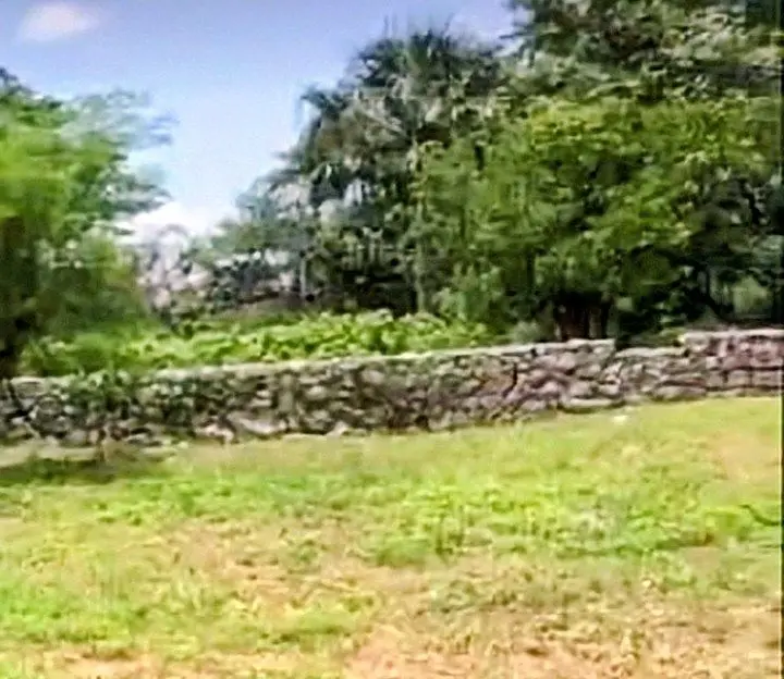 Terreno en Izamal Pueblo Mágico