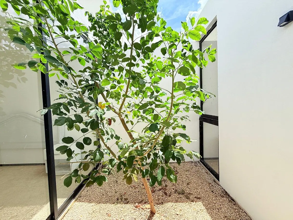 Casa de un piso en venta en San Diego Cutz — foto 4