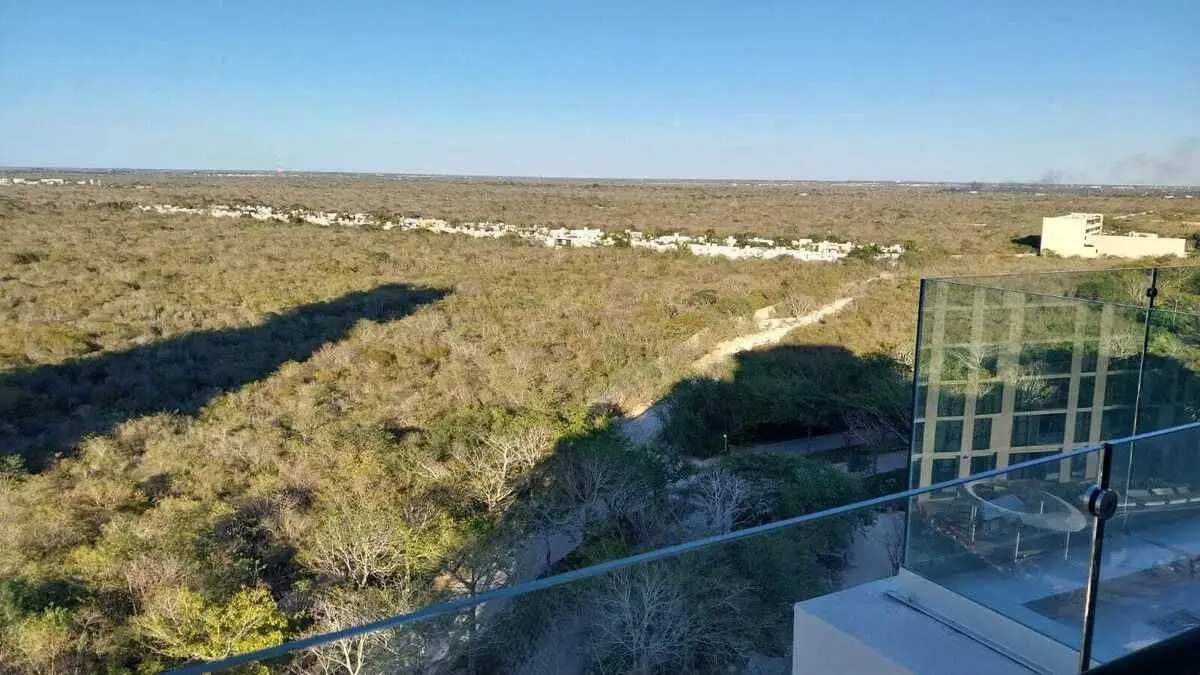 Penthouse with an amazing view — foto 4