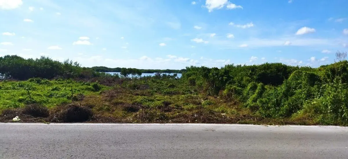 Large Lot For Sale in Santa Clara Yucatan Close to the Beach — foto 4