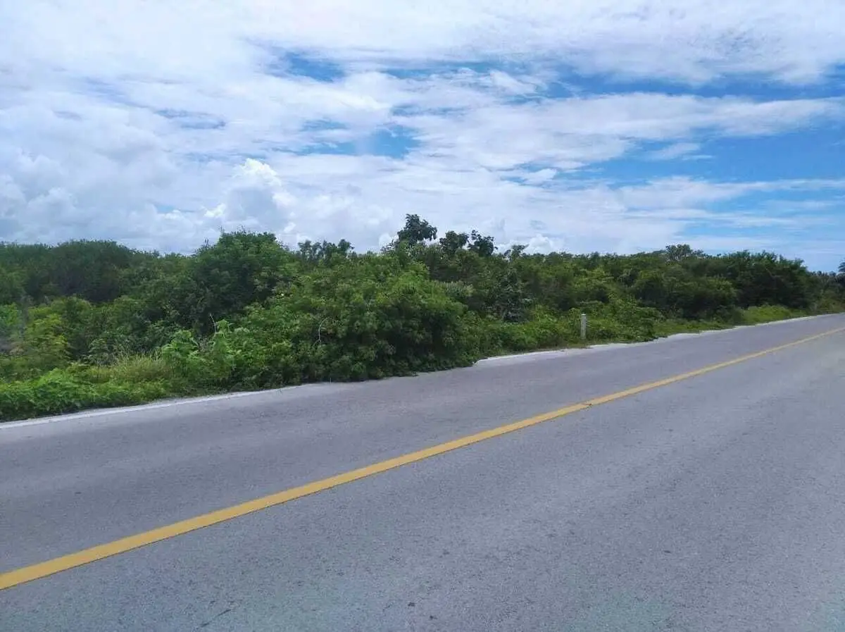 Large Lot For Sale in Santa Clara Yucatan Close to the Beach — foto 5