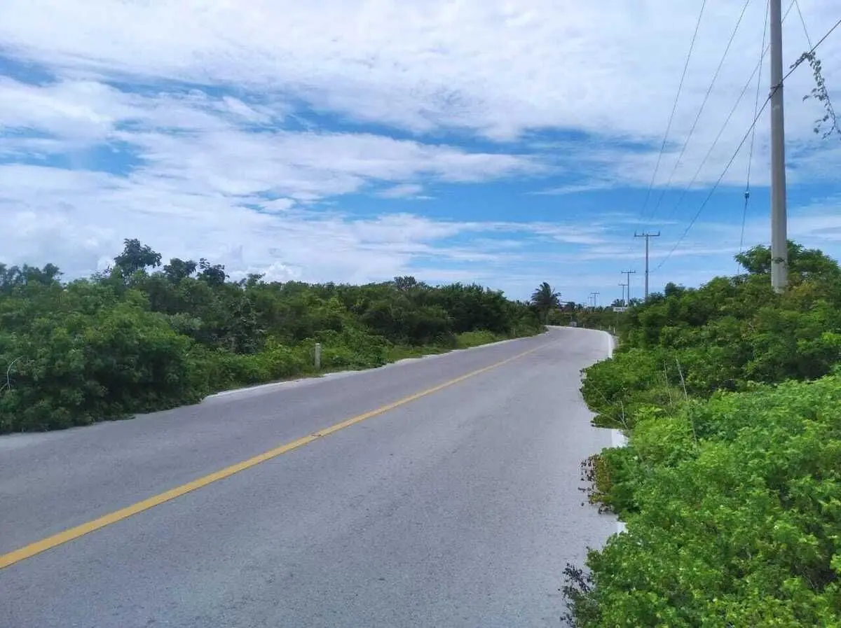 Large Lot For Sale in Santa Clara Yucatan Close to the Beach — foto 6