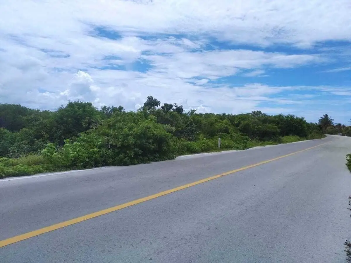 Three Lots Available For Sale in Santa Clara Yucatan Close to the Beach — foto 4