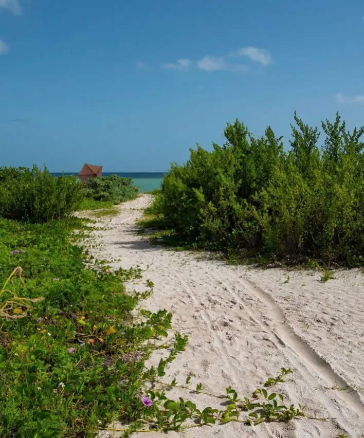 Charming Residence on the Beach in Chicxulub Puerto — foto 3