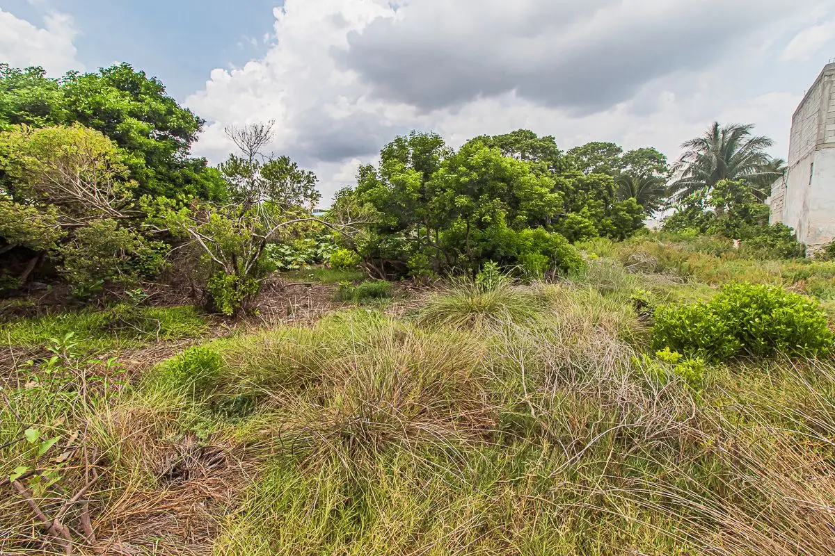 Residential Lot in Chicxulub Puerto, 550M2 — foto 2