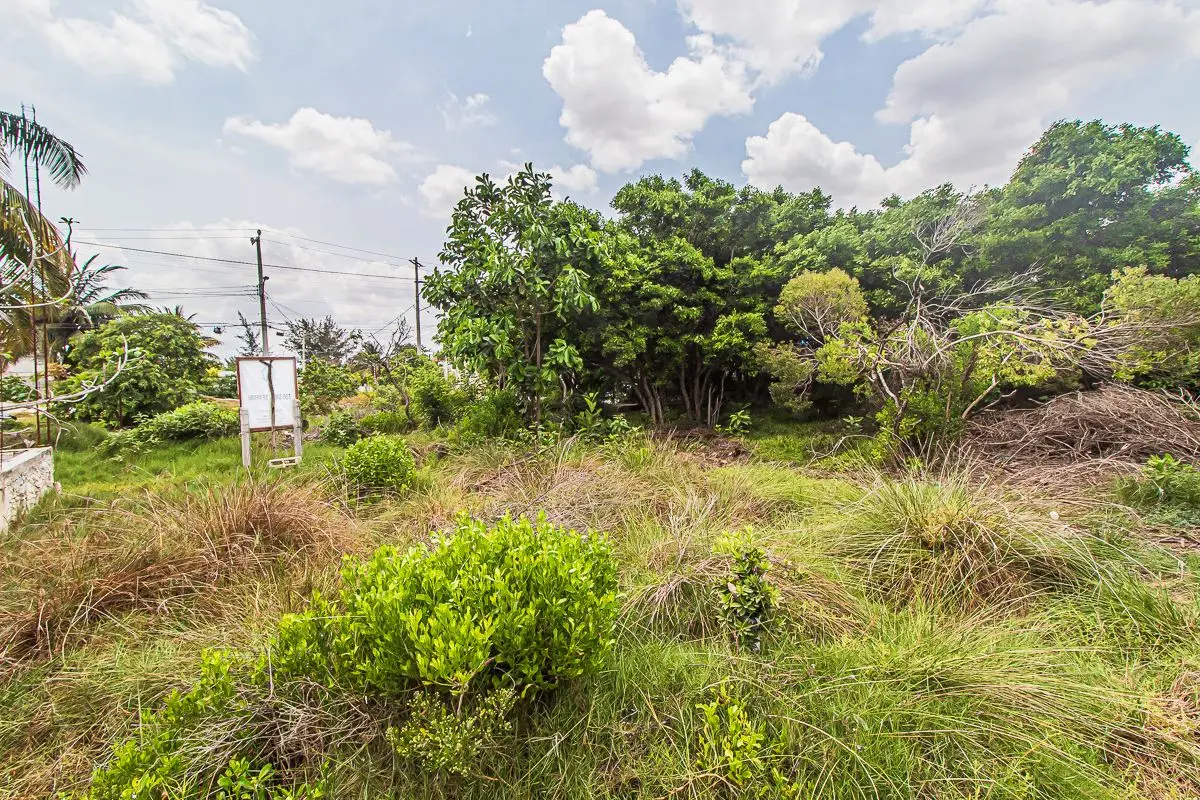 Residential Lot in Chicxulub Puerto, 550M2 — foto 3