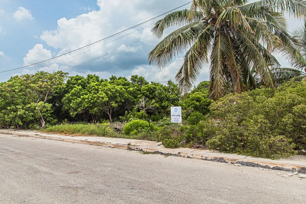 Residential Lot in Chicxulub Puerto, 550M2 — foto 4