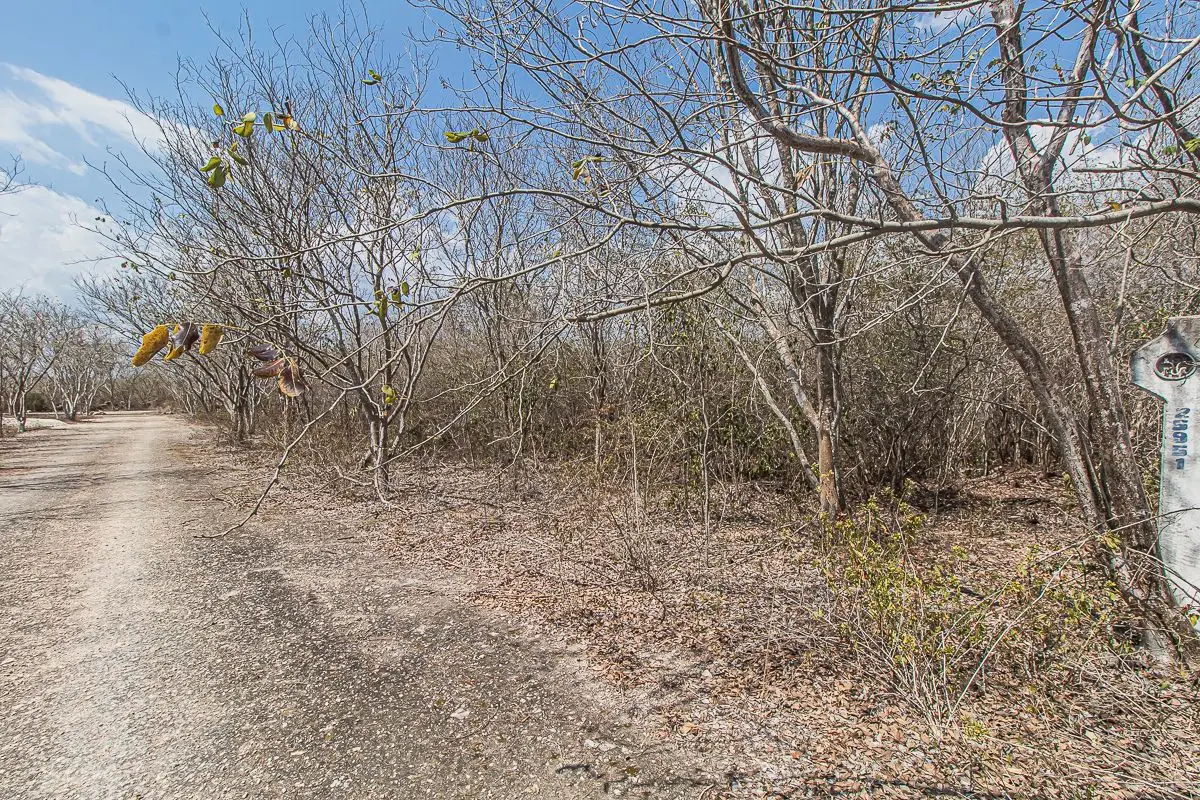 Lot 04, Large Land in CholulLote 04, Large Land in Cholul — foto 2