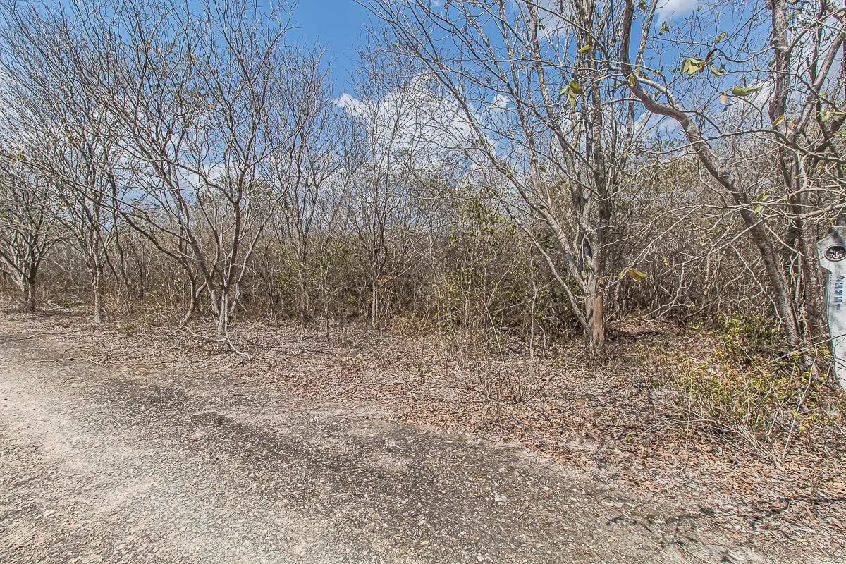 Lot 04, Large Land in CholulLote 04, Large Land in Cholul — foto 3
