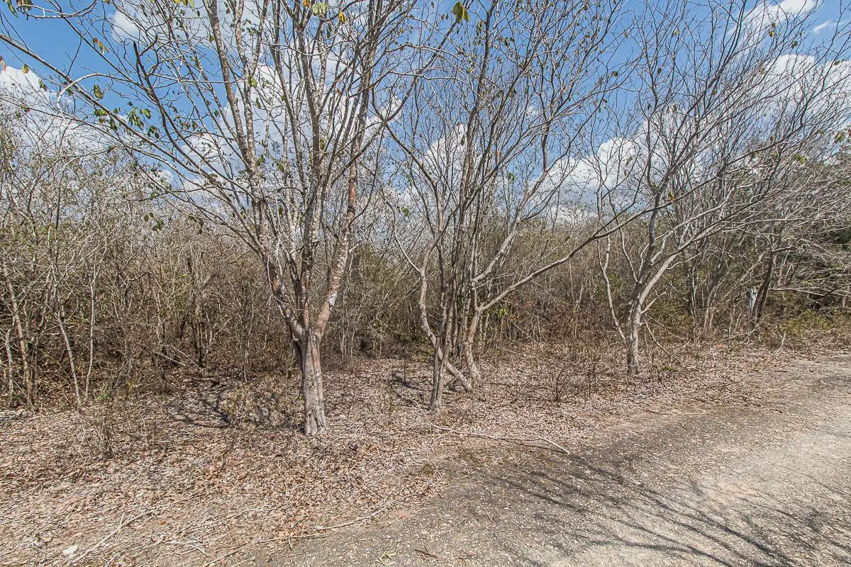 Lot 04, Large Land in CholulLote 04, Large Land in Cholul — foto 4