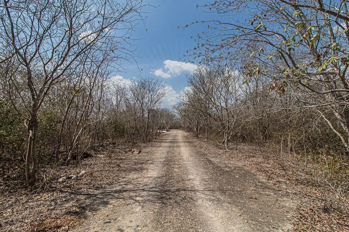 Lot 04, Large Land in CholulLote 04, Large Land in Cholul — foto 6