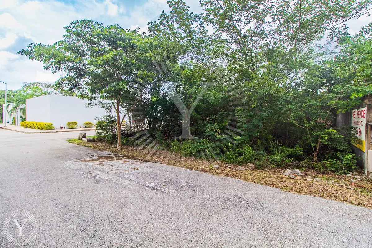 Residential Corner Lot in Conkal — foto 5