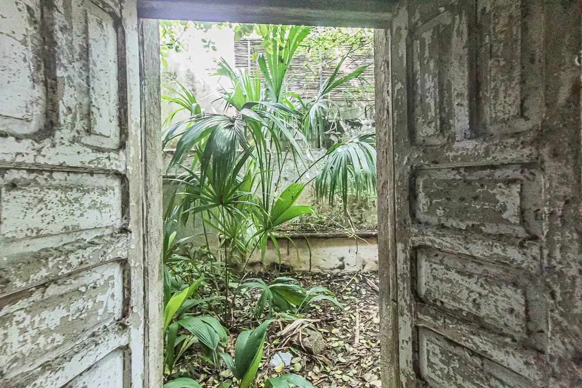 Caucho House! 150 Meters from Paseo de Montejo w/ProjectCasa Caucho! 150 Meters from Paseo de Montejo w/Project — foto 6