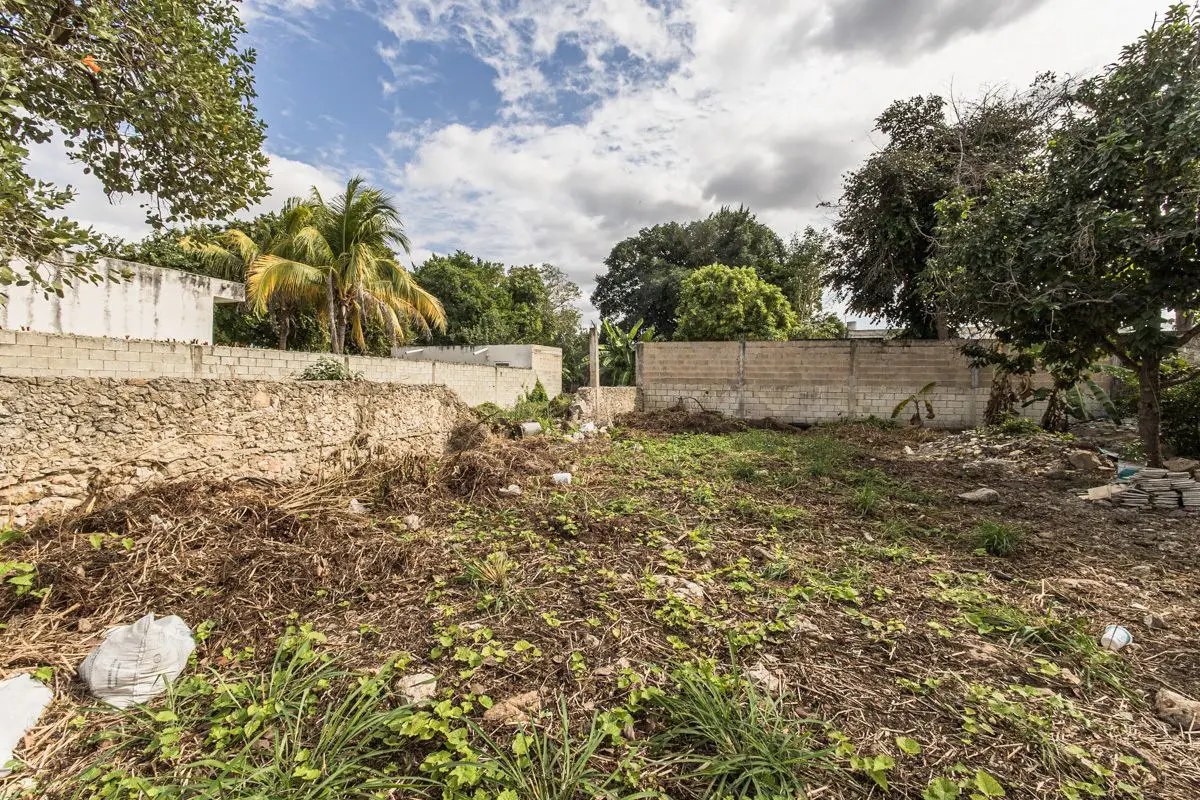 Mosaic House, Fixer Upper or Tear Down!Casa Mosiaco, Fixer Upper or Tear Down! — foto 4