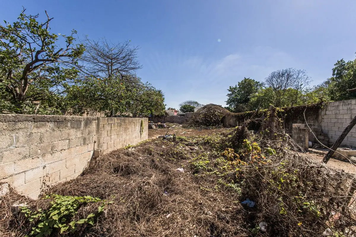 Monito Lot, Deep Lot perfect for your customized Home.Lote Monito, Deep Lot perfect for your customized Home. — foto 5