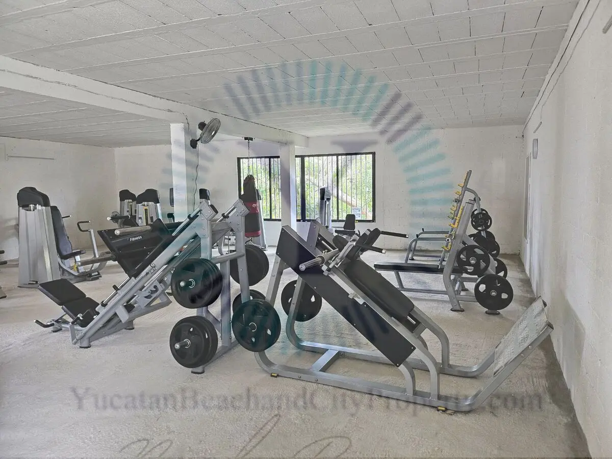 Established Air Conditioned Fitness Center in Chelem with Strong Income!! — foto 2
