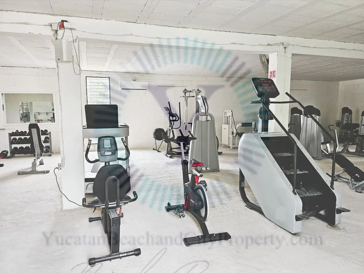 Established Air Conditioned Fitness Center in Chelem with Strong Income!! — foto 4