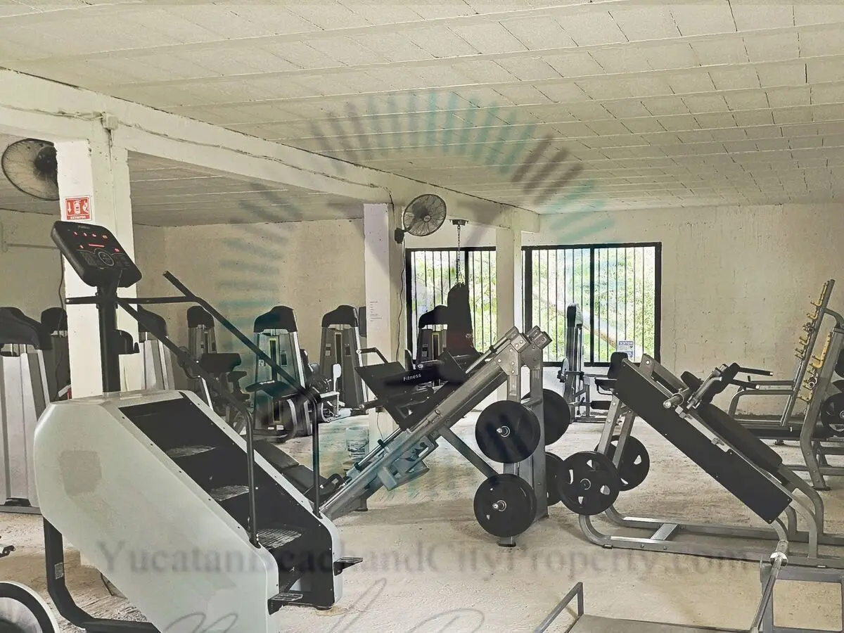 Established Air Conditioned Fitness Center in Chelem with Strong Income!! — foto 5