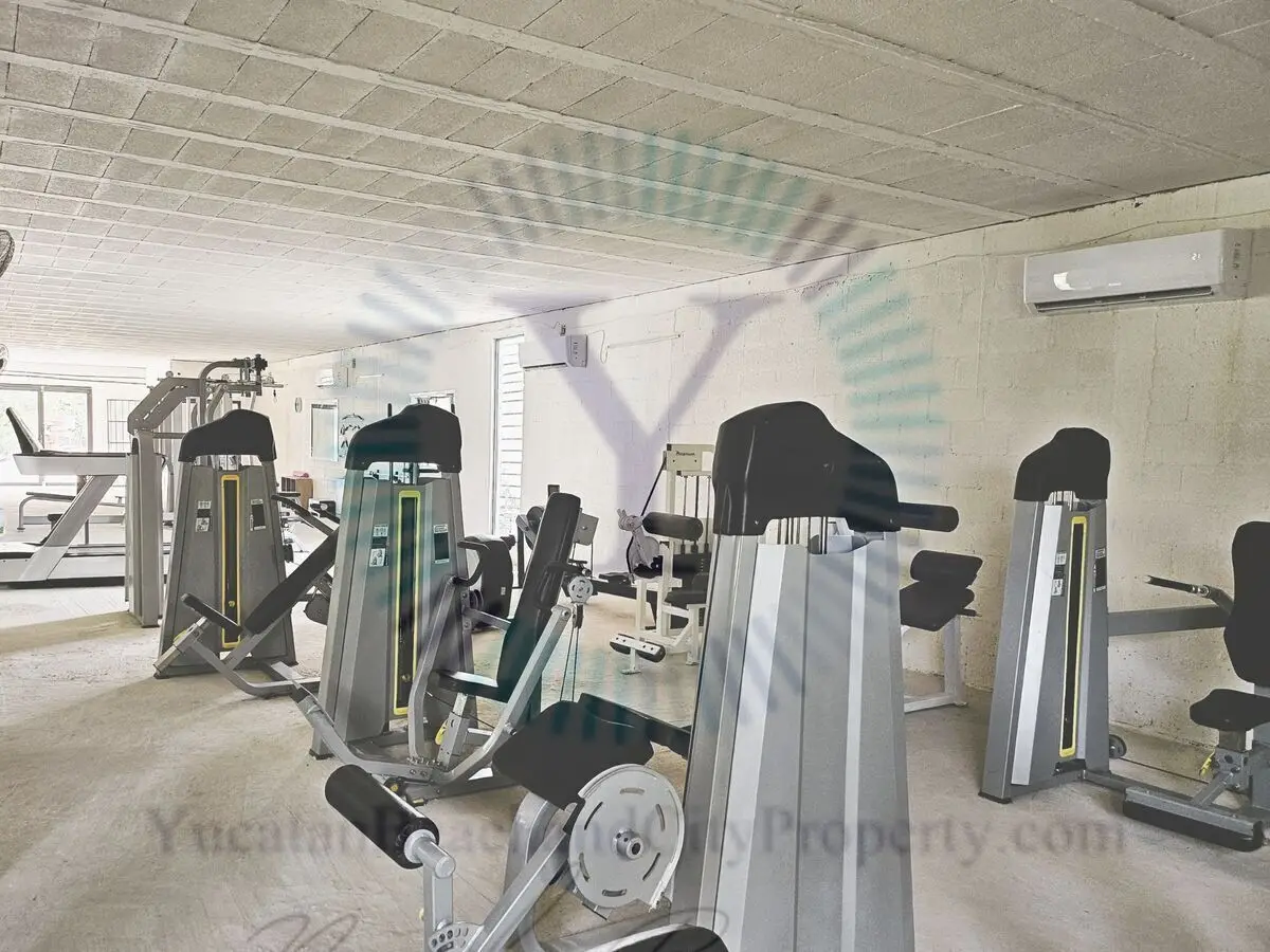 Established Air Conditioned Fitness Center in Chelem with Strong Income!! — foto 6