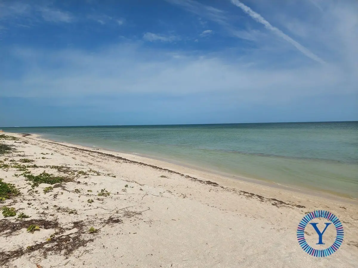 Build your Paradise Chicxulub Puerto 30,000 USD — foto 2