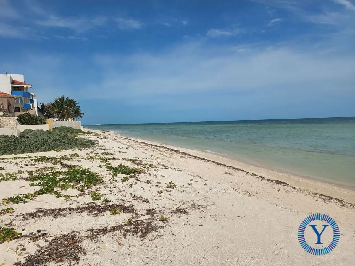 Build your Paradise Chicxulub Puerto 30,000 USD — foto 3