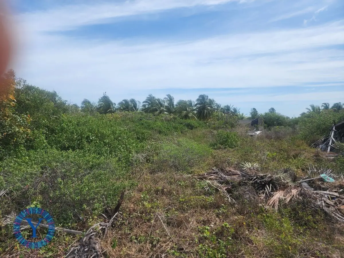 Build your Paradise Chicxulub Puerto 30,000 USD — foto 4