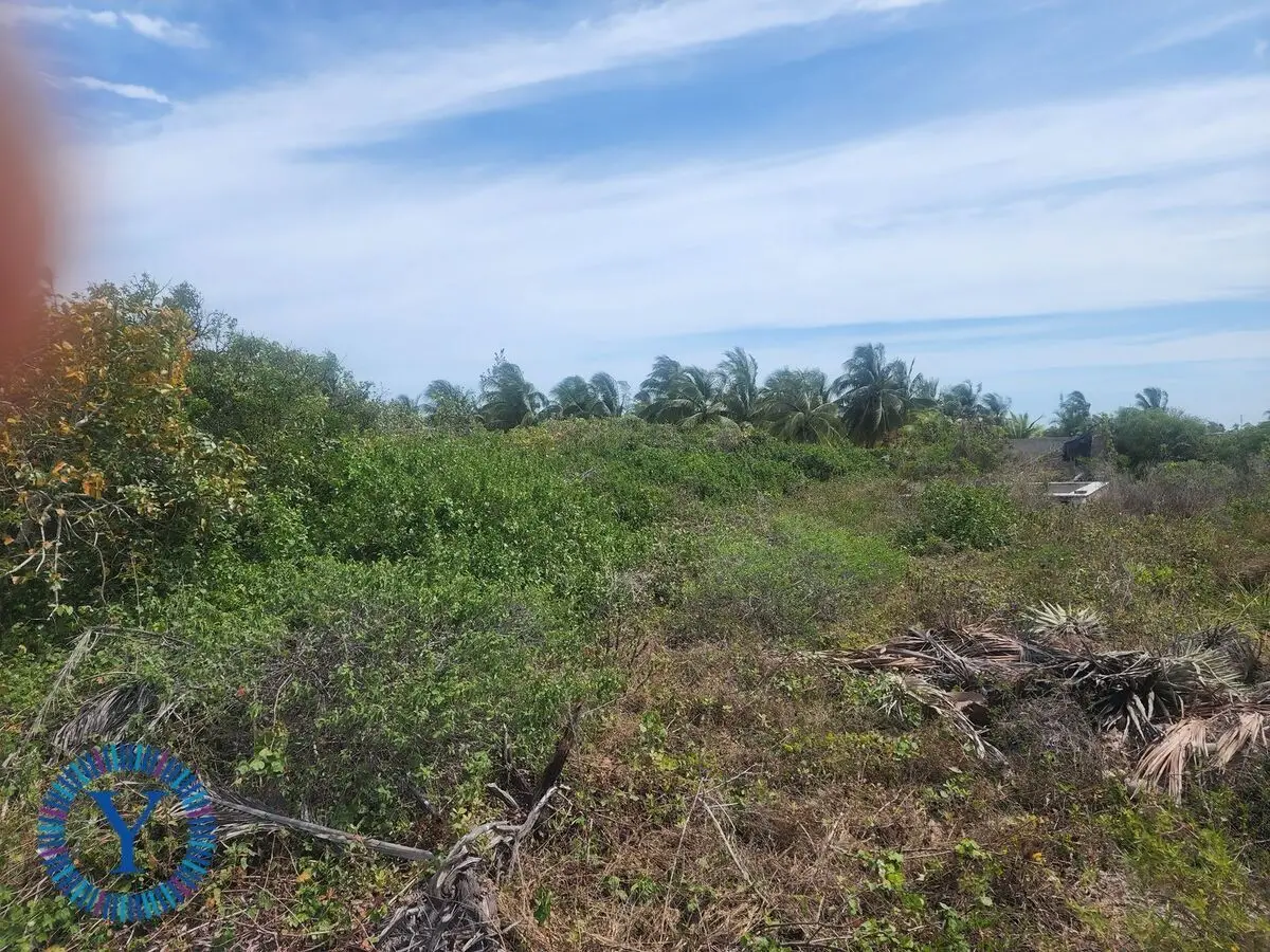 Build your Paradise Chicxulub Puerto 30,000 USD — foto 5