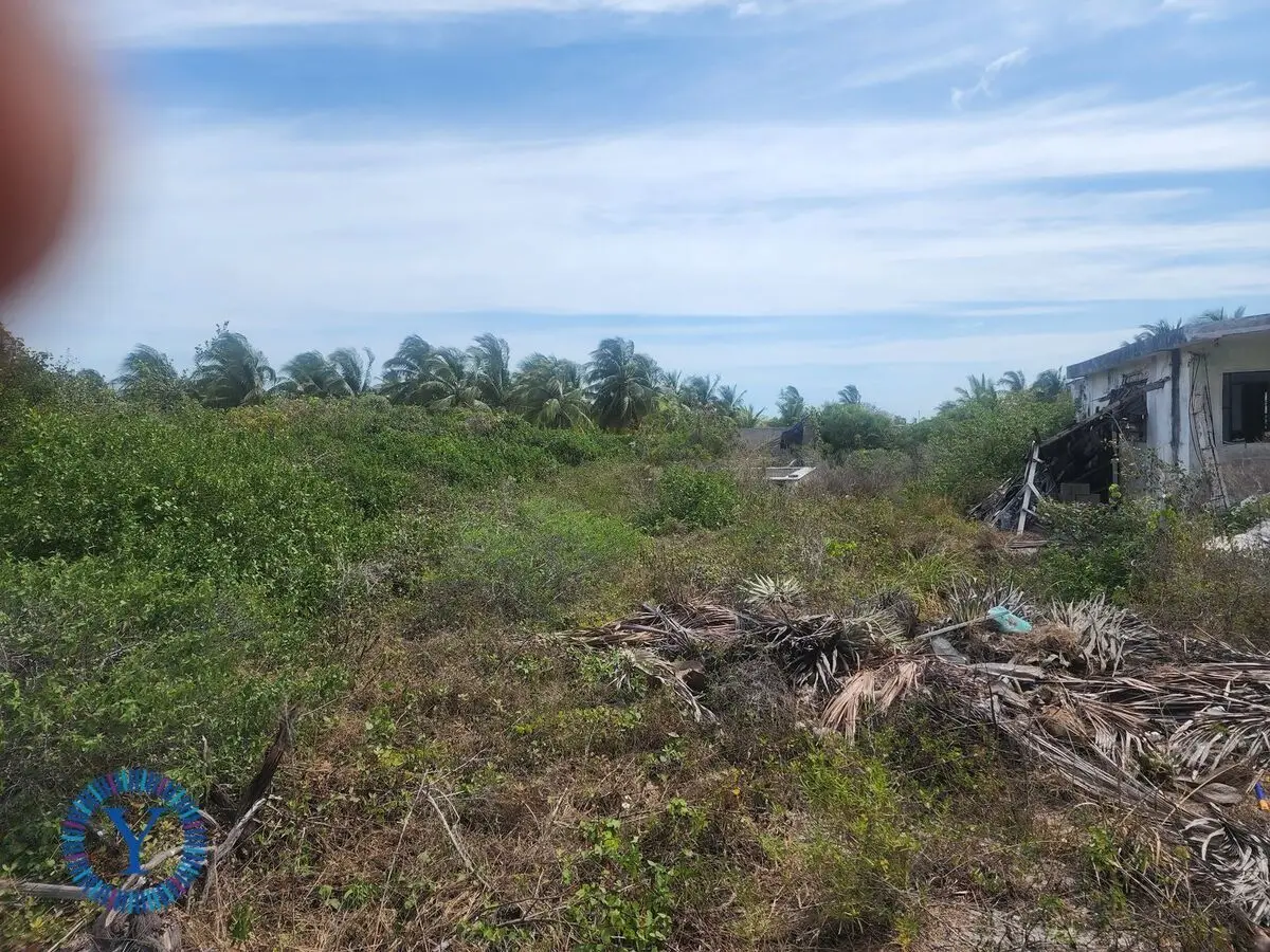 Build your Paradise Chicxulub Puerto 30,000 USD — foto 6