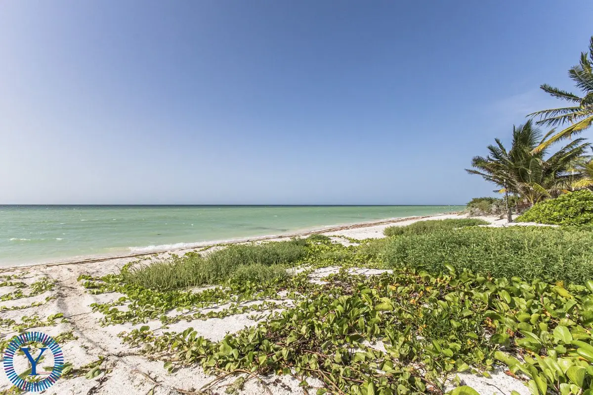 TH Mar: Stylish 3-Bedroom Beach Townhouse w/Rooftop — foto 6