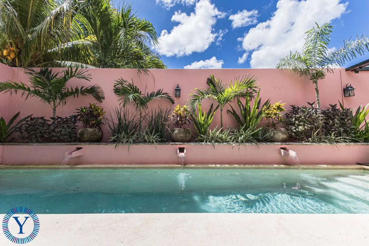 Casa Clavel - Charming Fully Renovated Single-Level Home in Barrio La Ermita — foto 5