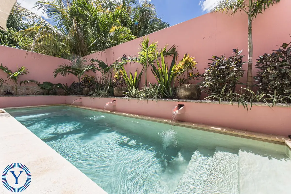 Casa Clavel - Charming Fully Renovated Single-Level Home in Barrio La Ermita — foto 6