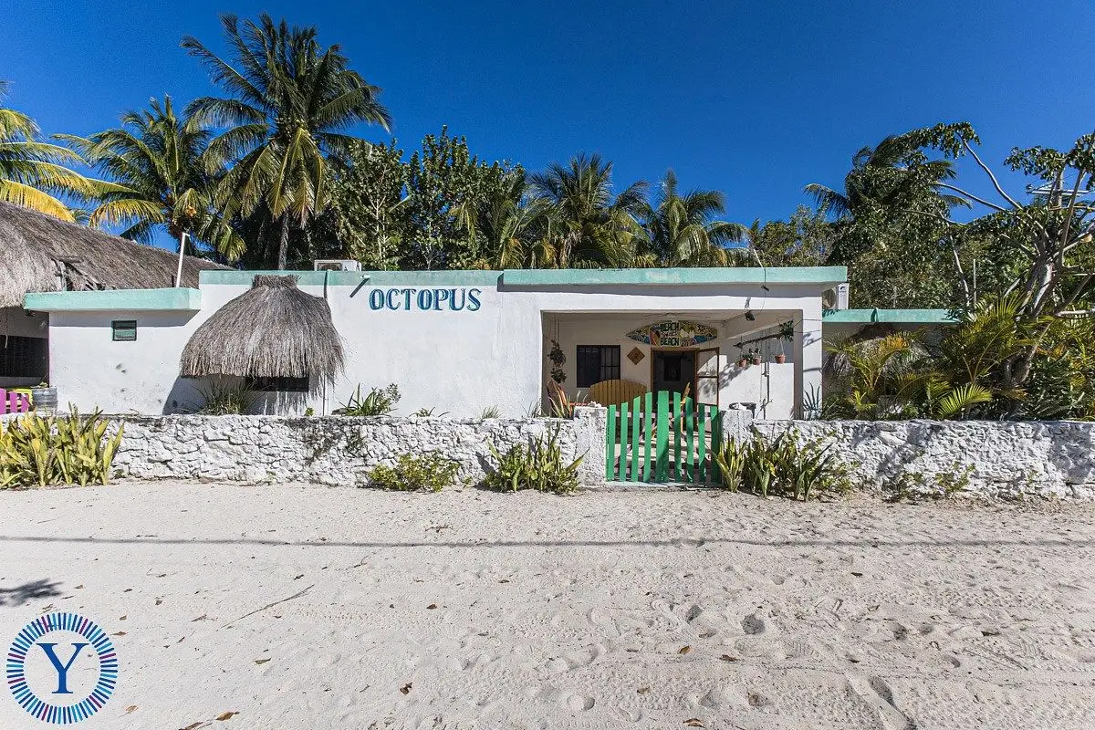 Casa Octopus, A Turnkey Investment in San Crisanto!