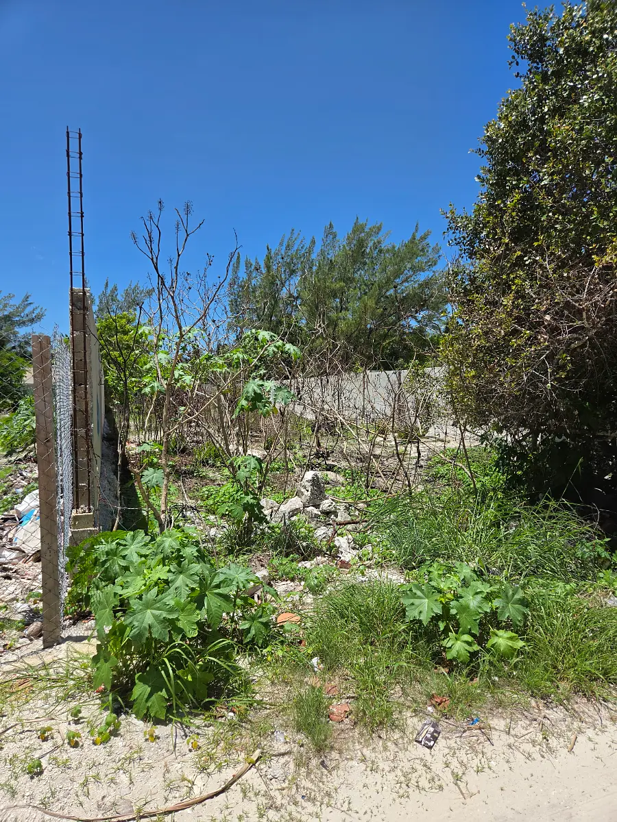 Beachside Lot Chelem — foto 2