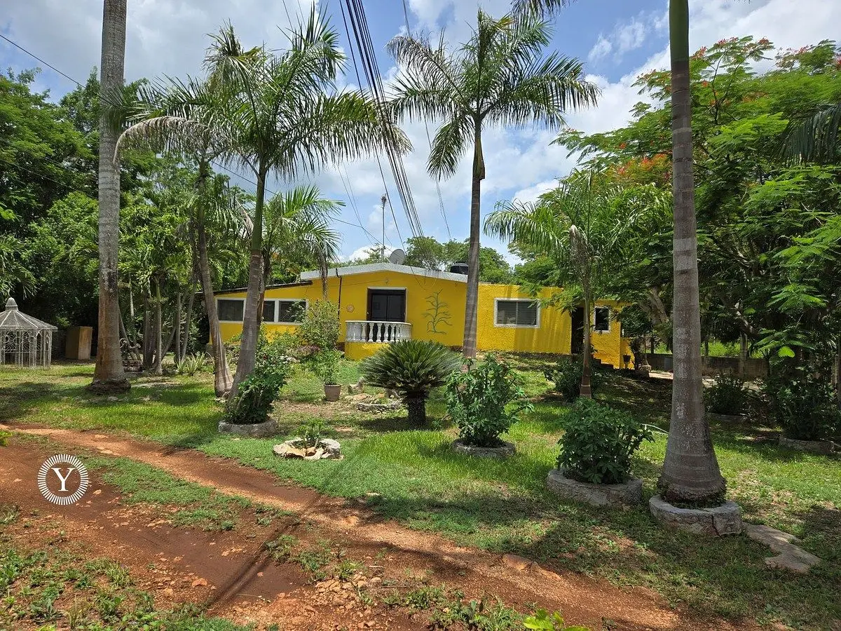 Yellow House Flower of May – Unique Estate in Tahmek, YucatánCasa Amarilla Flor de Mayo – Unique Estate in Tahmek, Yucatán