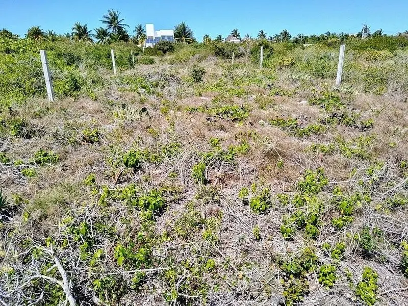Great Investment Opportunity — foto 2